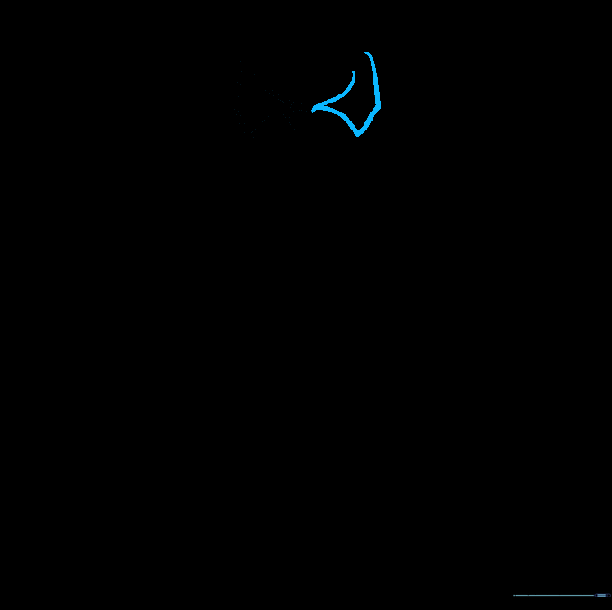Drawing the second collar point to create a symmetrical neckline