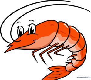 A vibrant, finished cartoon shrimp illustration, perfect for kids to reference.