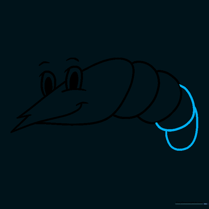Shrimp drawing with additional body segments extending along the back.