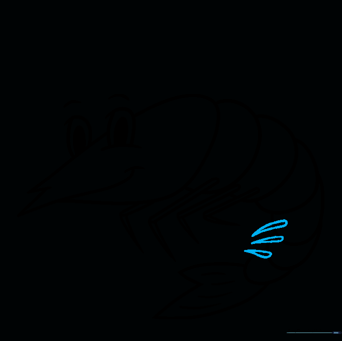 Shrimp drawing with small, detailed legs added near the tail area.