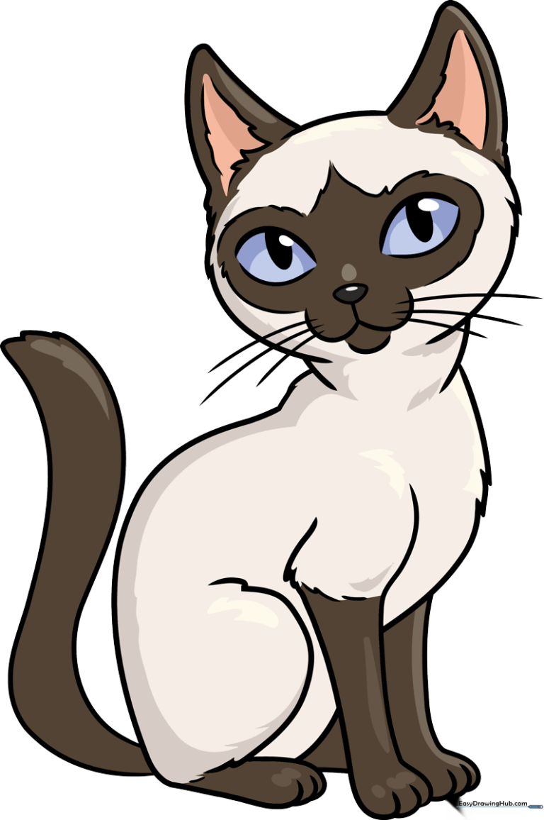 A colorful, finished drawing of a Siamese cat sitting down, ideal for kids' art projects
