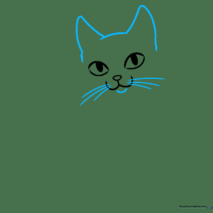 Drawing the triangular ears and chin of a Siamese cat