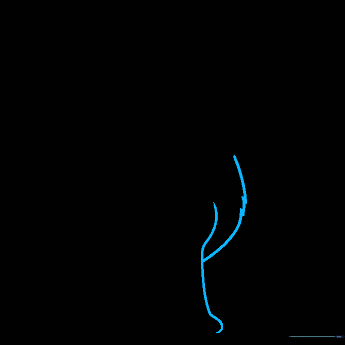 Drawing the first front leg with paw hooks and chest fur
