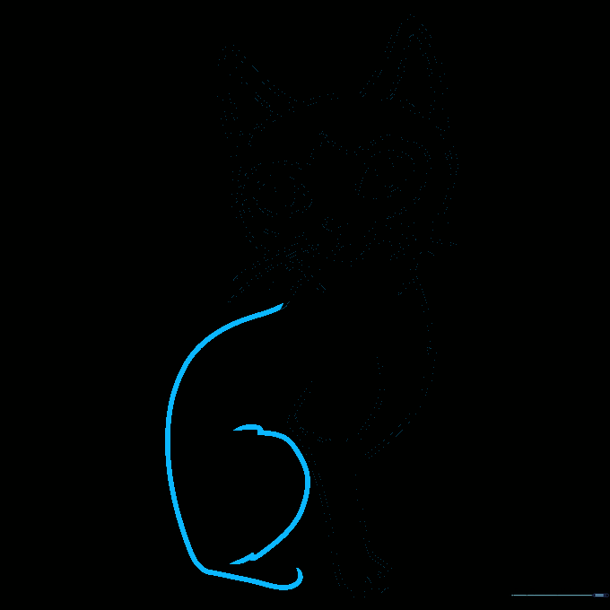 Sketching the cat's back and belly curve