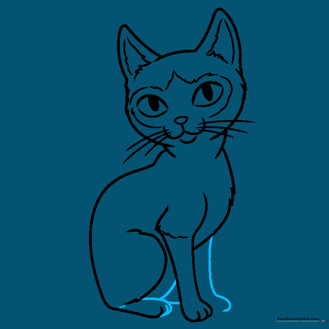 Adding the back leg and tail base to the cat drawing