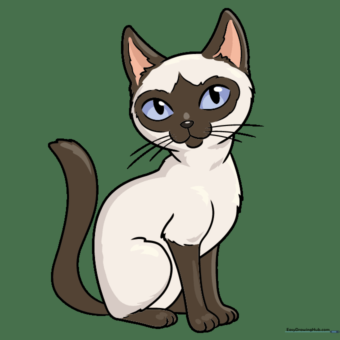 Finished, colored Siamese cat drawing with traditional tan and brown markings