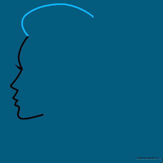 Sketching the top of the head and the beginning of the hair outline.