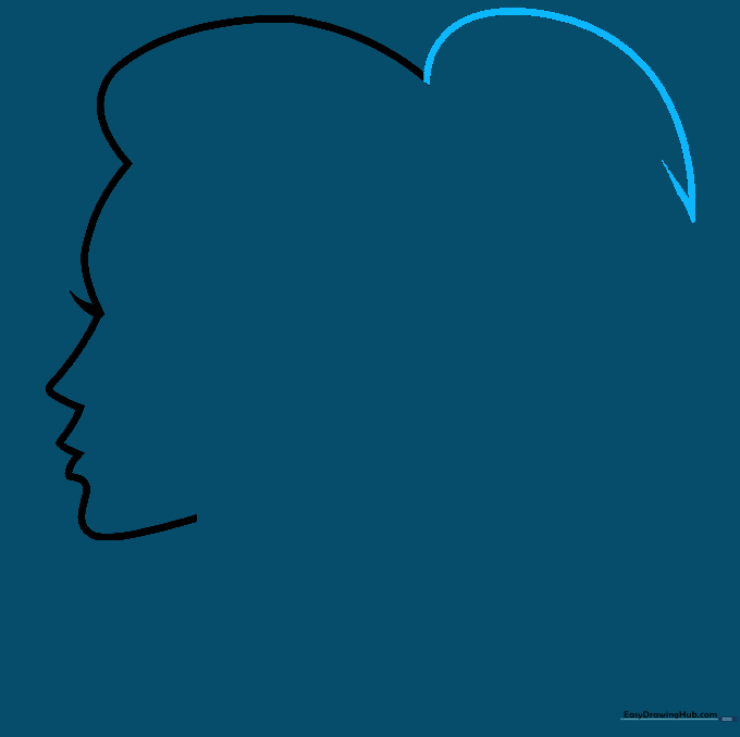 Drawing the top section of a ponytail hairstyle.