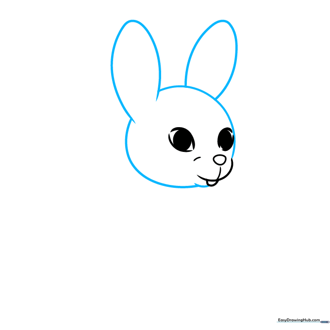 Outline of the bunny's head shape and two long ears.