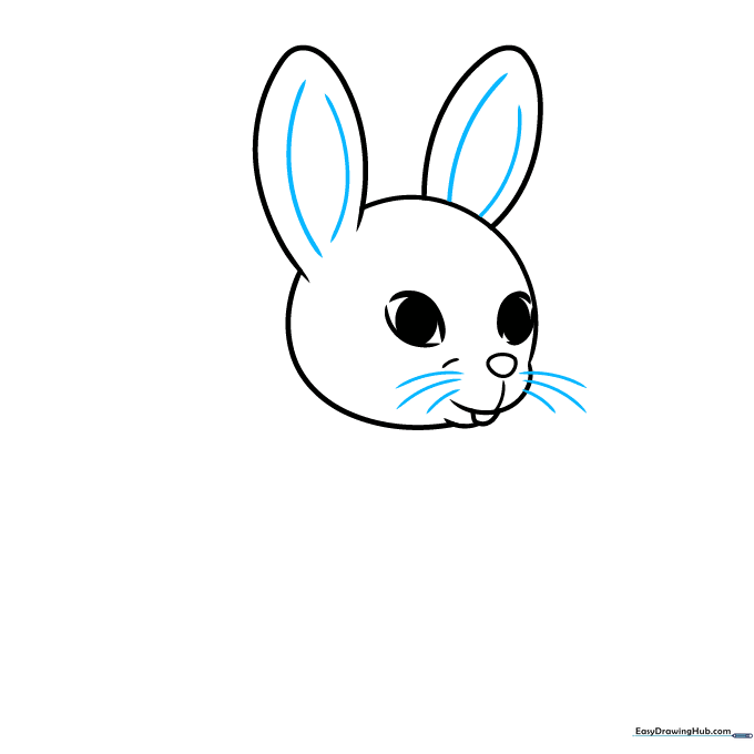 Adding inner ear details and three whiskers on each side of the bunny's nose.