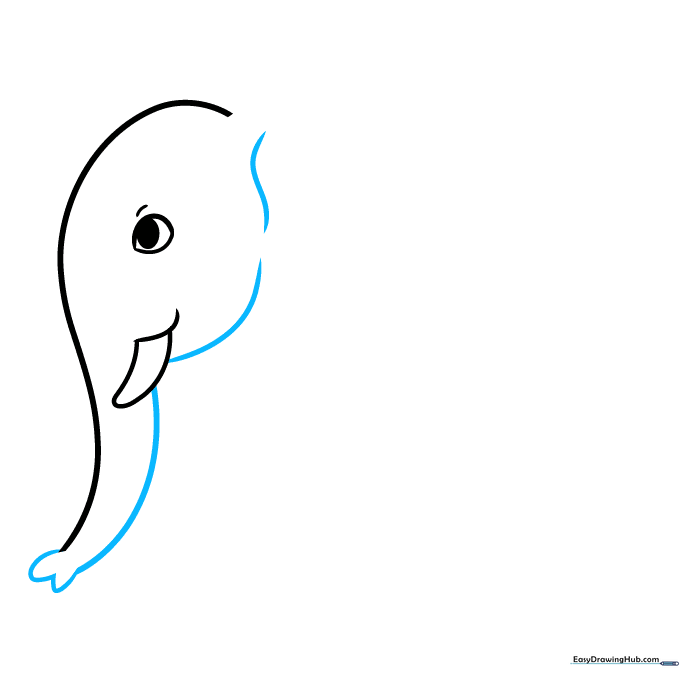 Drawing the side profile of an elephant's face and trunk tip.