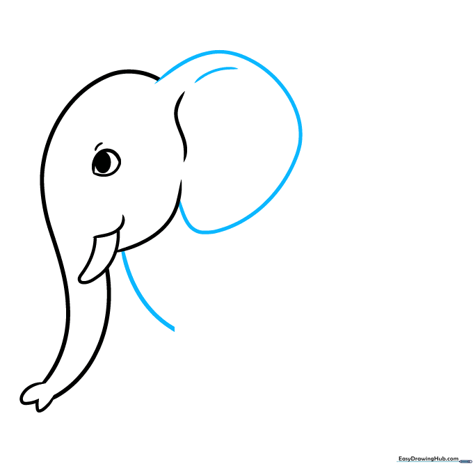 Adding a large ear and chest line to the elephant sketch.