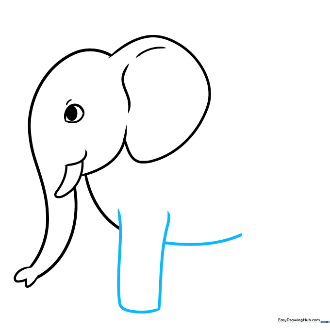 Sketching the front leg and belly of the elephant.