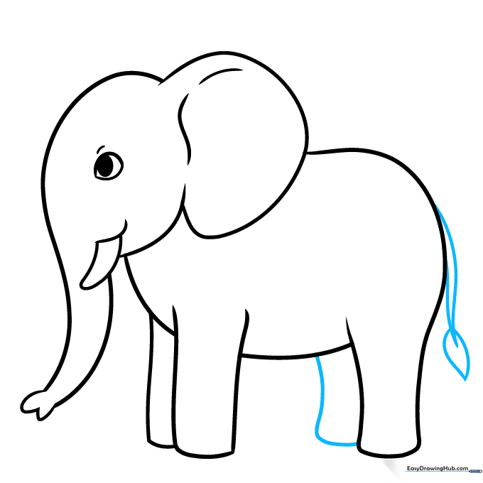 Drawing the elephant's tail with a tuft of hair.
