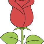 A colorful, finished rose drawing displayed as a guide for beginners.