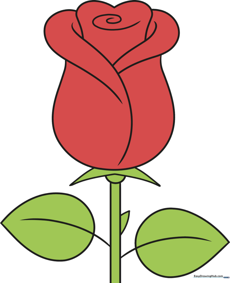 A colorful, finished rose drawing displayed as a guide for beginners.