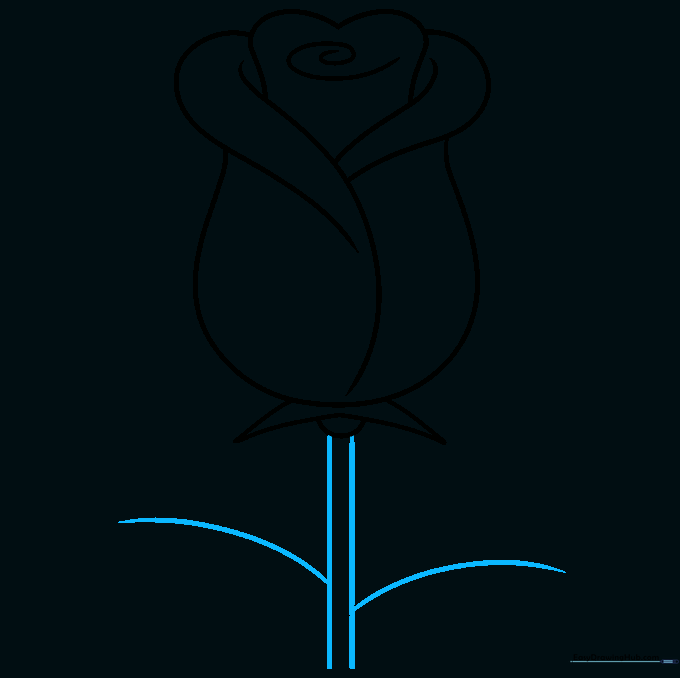 A long stem and leaf veins drawn extending from the base of the rose.