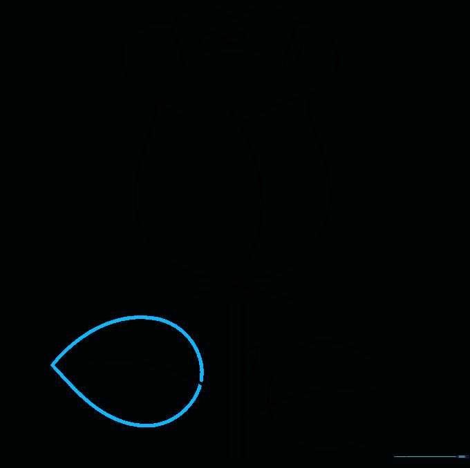 A second leaf added to the stem to complete the rose drawing outline.
