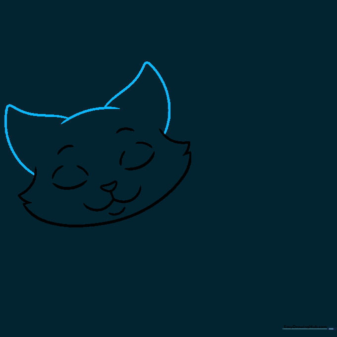 Sketching the cat's ears on top of the head.