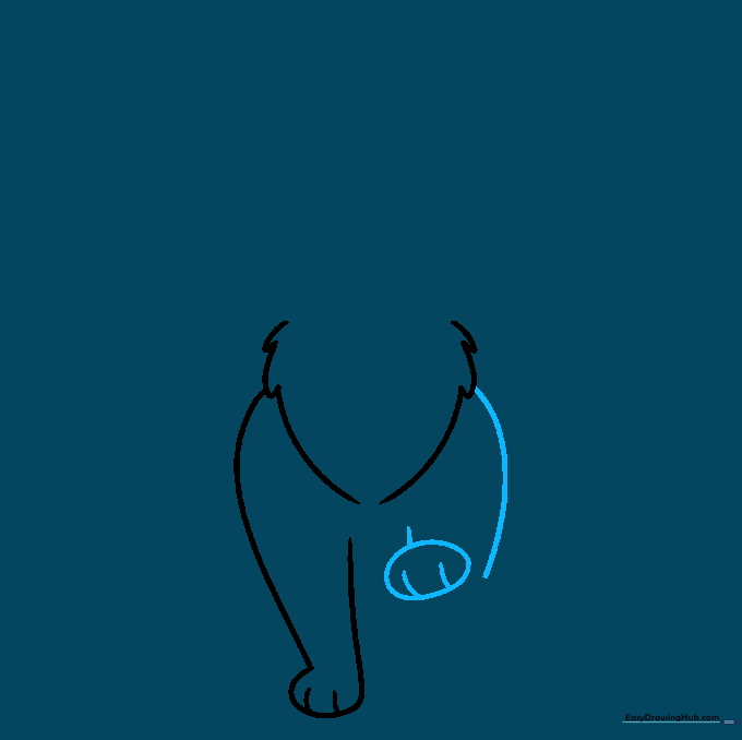 Drawing the cat's shoulder and a raised paw with defined toe lines.
