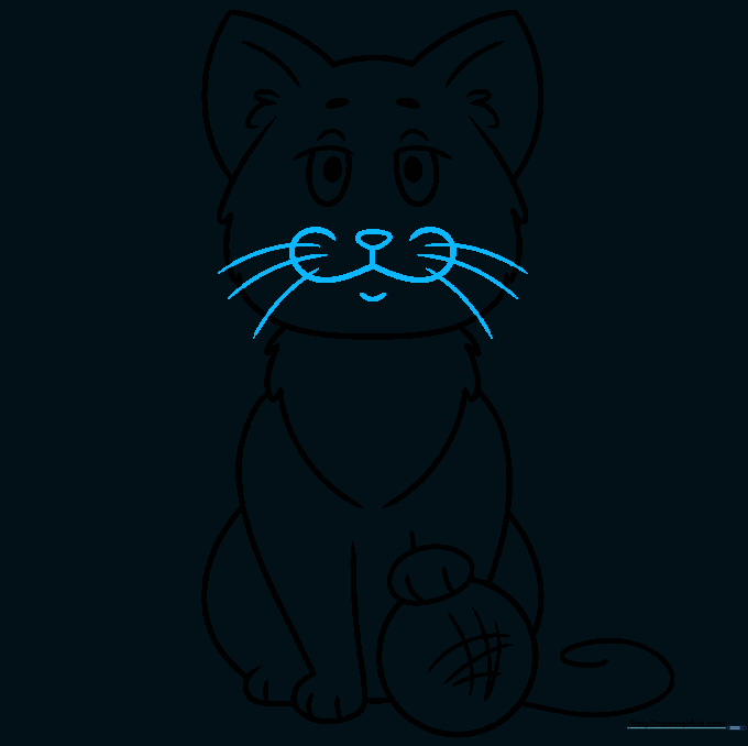 Drawing the cat's nose, mouth, and long whiskers.