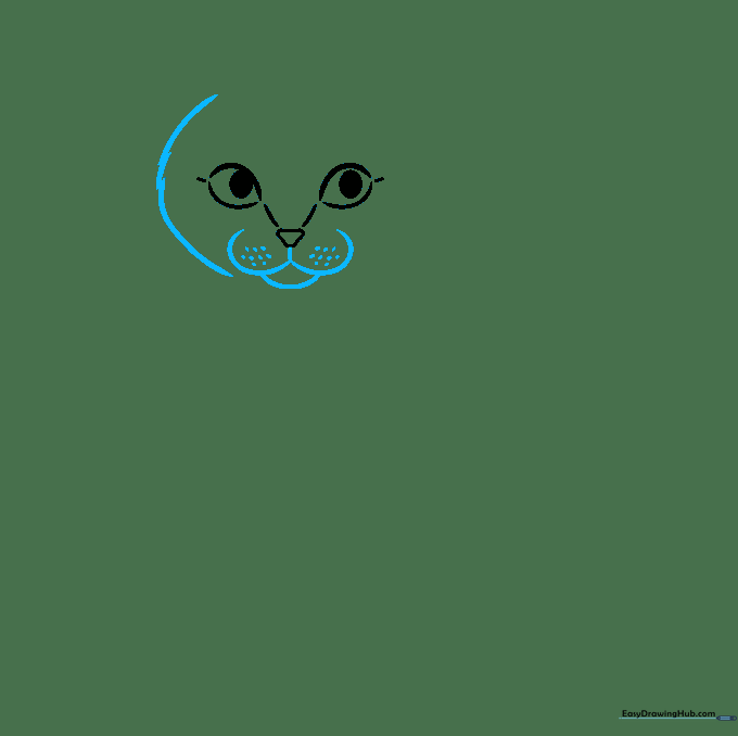 Drawing the cat's muzzle and whiskers with jagged lines to show fur texture.