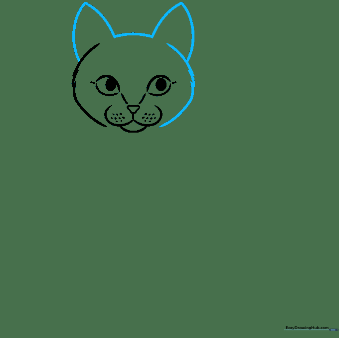 Adding triangular cat ears to the top of the head outline.