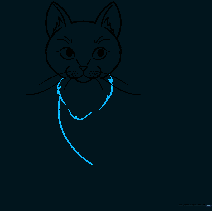 Drawing the neck fur and the long curve of the cat's chest.