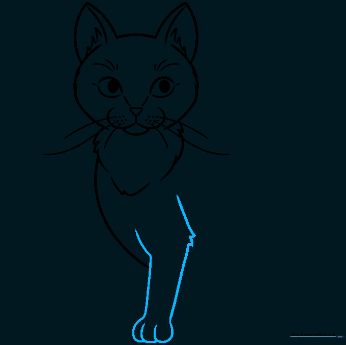 Drawing the cat's front leg and paw with visible toe details.