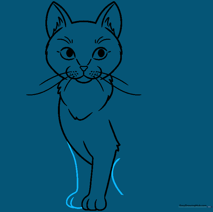 Adding the second front leg and the curve of the cat's hip.