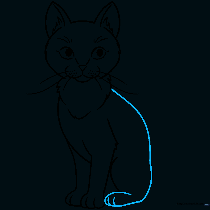 Drawing the cat's back and the large back foot.