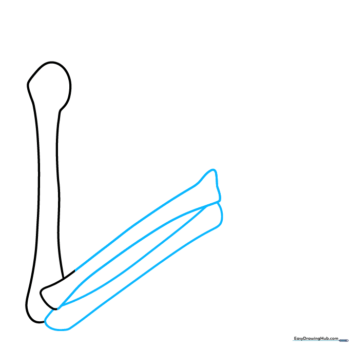 Drawing the elbow joint using two rounded triangles connected to the forearm bone.