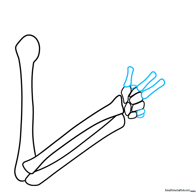 Adding the metacarpal bones to the wrist structure using elongated rounded shapes.
