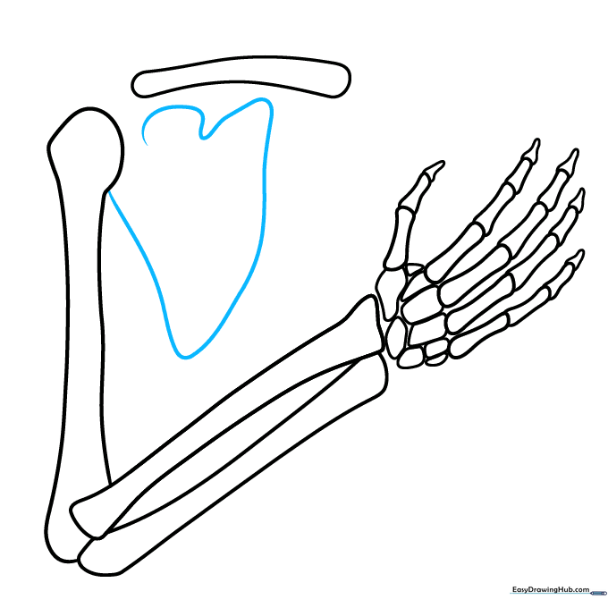 Refining the bone texture with additional curves and shapes for a realistic look.