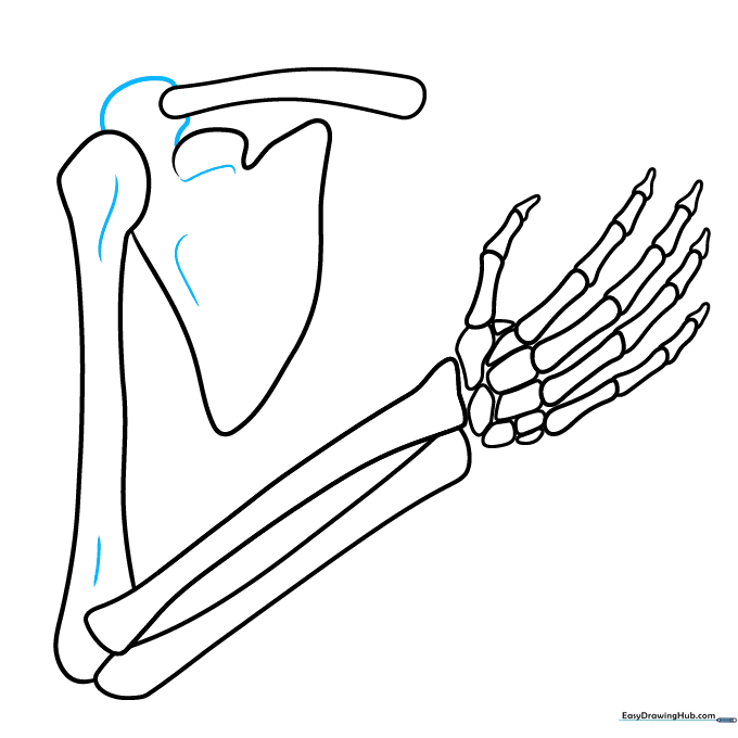 Final inked outline of the skeleton arm with pencil guidelines erased.