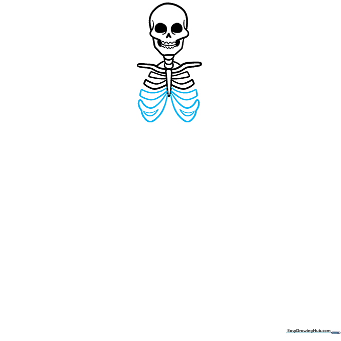 Adding curved rib bones to the skeleton's torso.