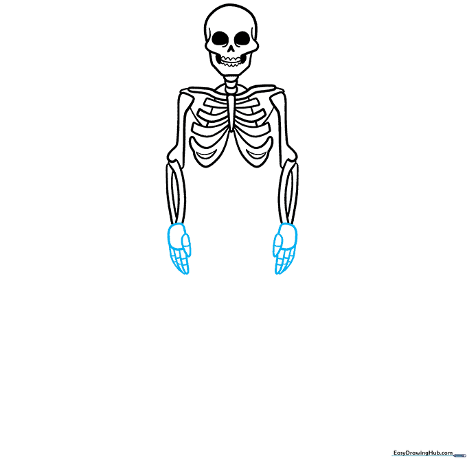 Adding detailed hand and finger bones to the skeleton's arms.