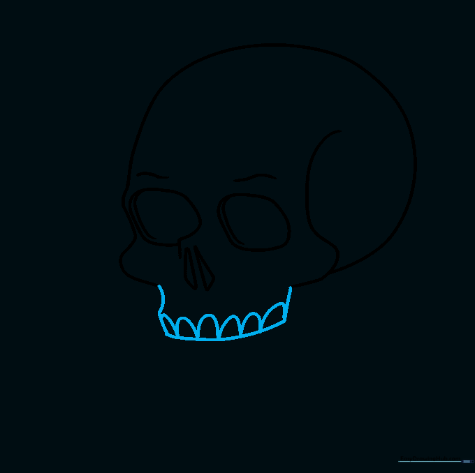 Drawing the upper jaw and teeth of the skull using inverted U-shapes.
