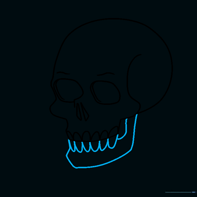 Adding the lower jaw and bottom teeth to complete the skull structure.