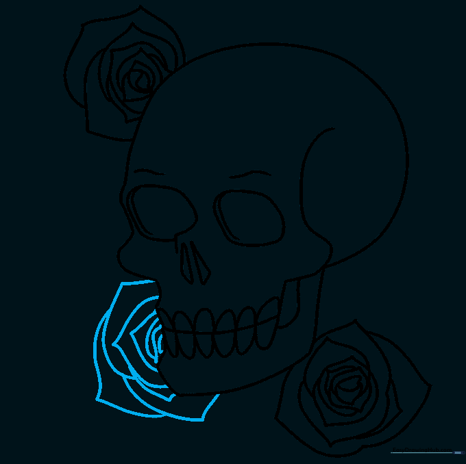 Drawing a third rose partially hidden behind the skull's jawline.
