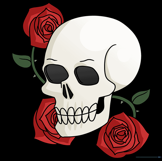 Final colored drawing of the skull and roses, showing vibrant petals and shaded bone.
