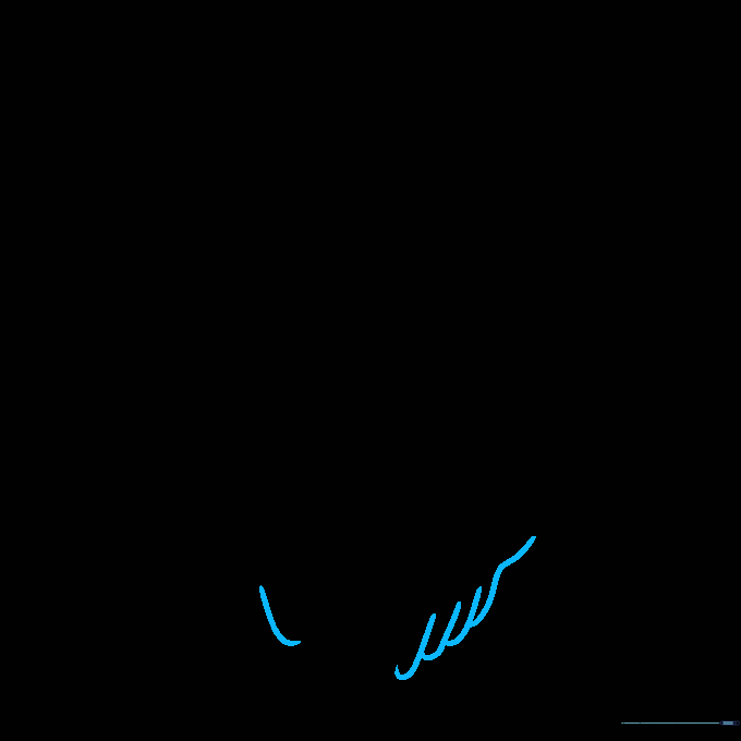Skull heart drawing showing the development of finger-like shapes for the teeth along the jaw.