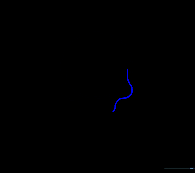 Drawing a second curved line to mirror the first jawline.