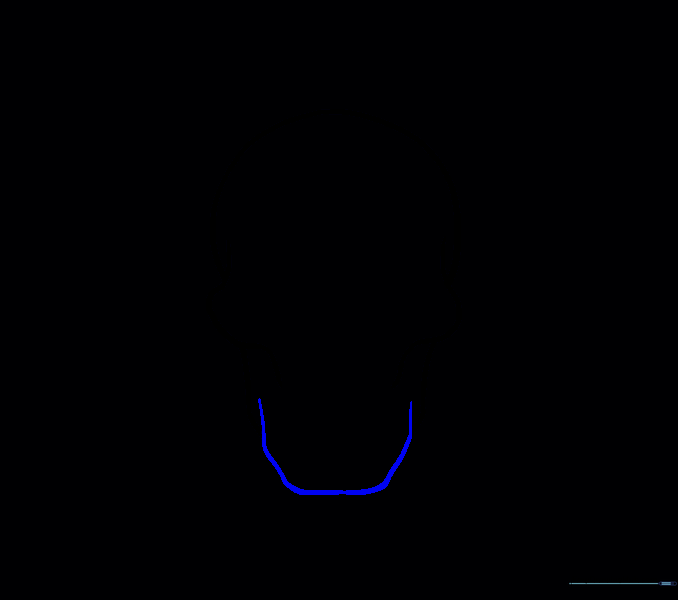 Drawing a connecting line to close the jaw shape.