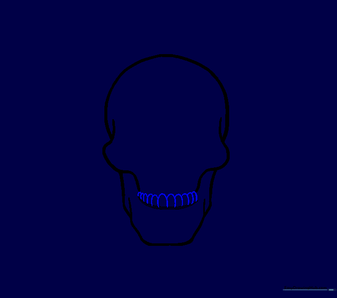 Drawing the upper row of teeth using U-shaped lines.