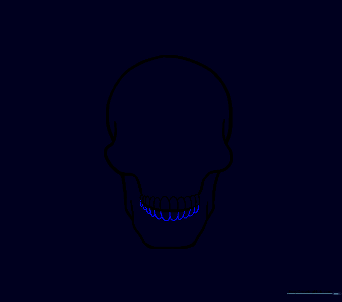 Drawing the lower row of teeth to mirror the upper ones.