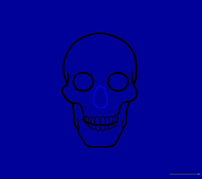 Adding an egg-shaped nasal cavity below the eyes.