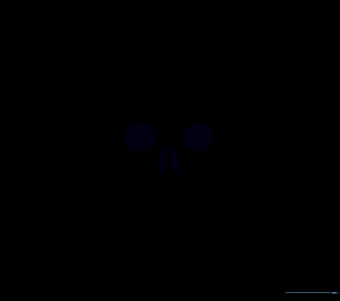 The final, cleaned-up line art of a skull and crossbones.
