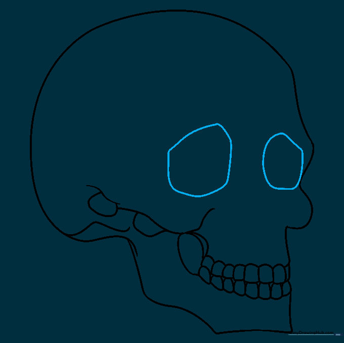 Adding the two large eye sockets to the front of the skull.