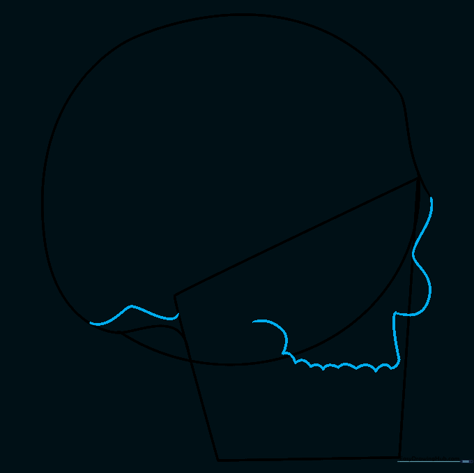 Refining the facial bones and nasal bridge area with clean, curved lines.